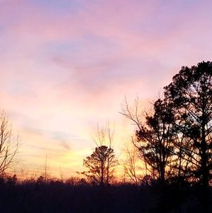 Meet your Posher, Carla